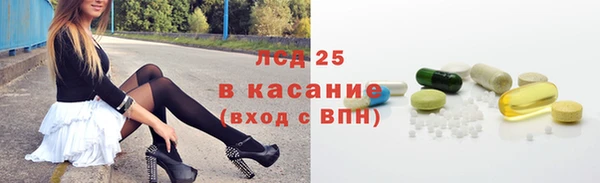 индика Алексин