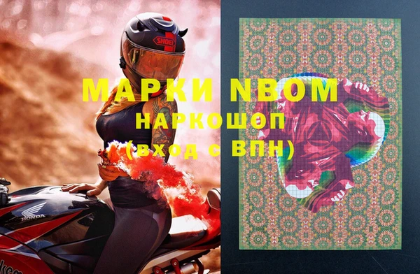 индика Алексин
