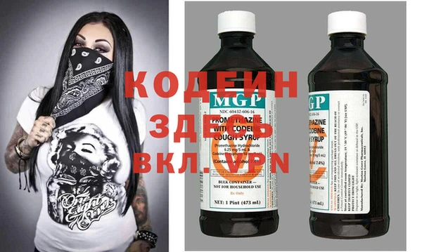 индика Алексин