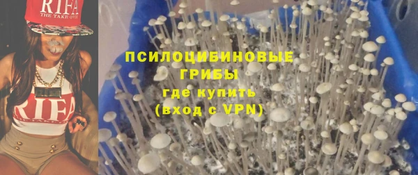 индика Алексин