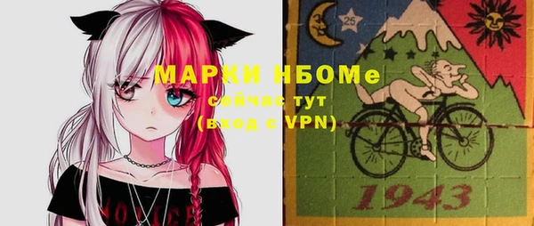 индика Алексин